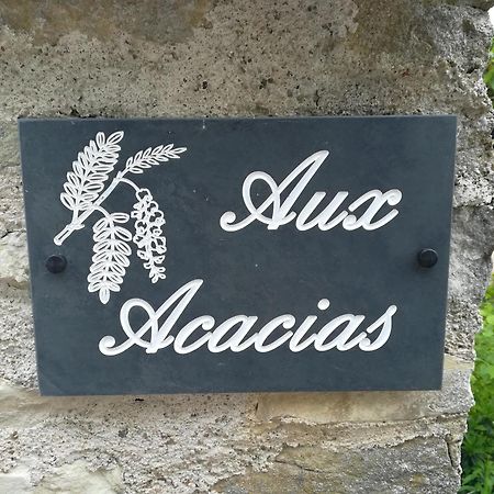Aux Acacias Villa Braye-sous-Faye Kültér fotó